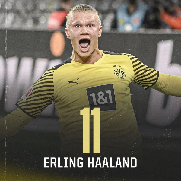 毫米波或高 毫米波或高